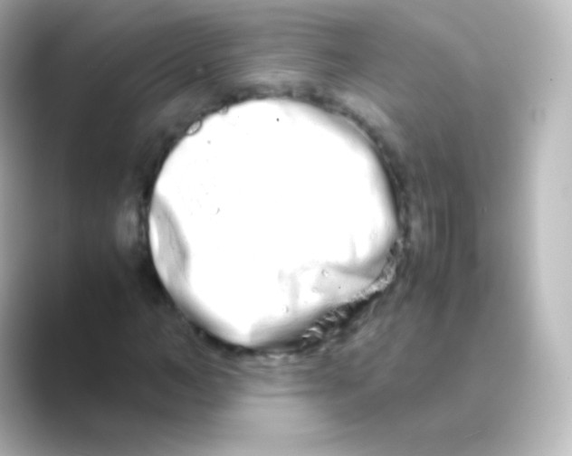 X0000088720966200706212018