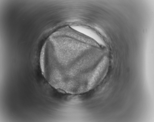 X0000088720967200706212018