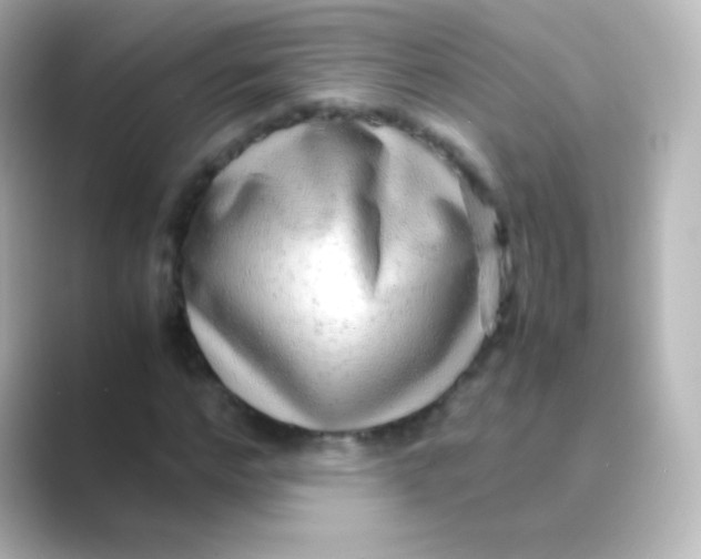 X0000088720968200706212018