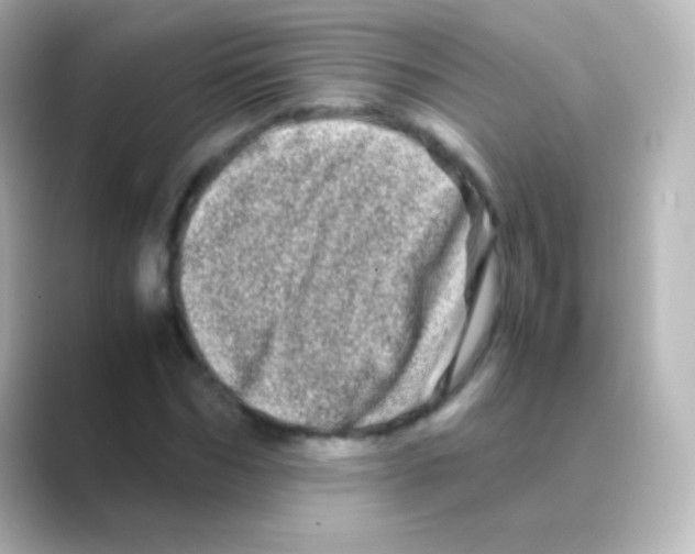 X0000088720970200706212018