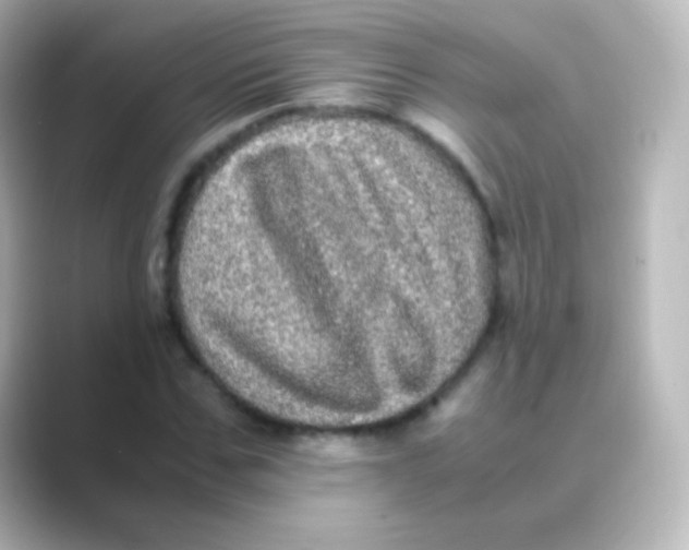 X0000088720971200706212018