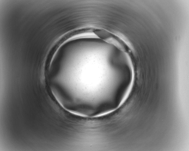 X0000088720972200706212018