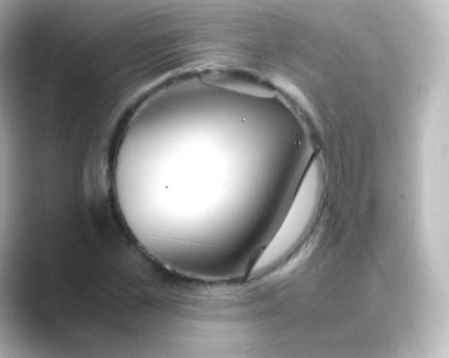 X0000088720973200706212017