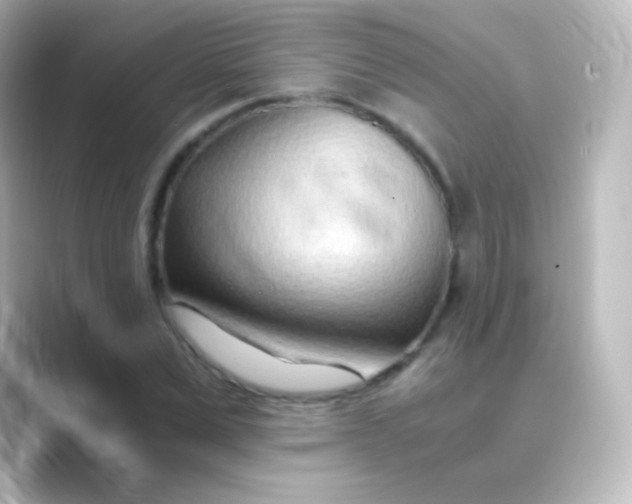 X0000088720975200706212017