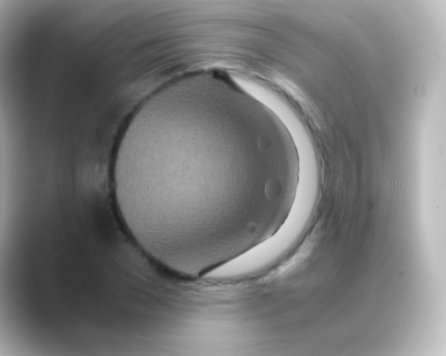 X0000088720977200706212017