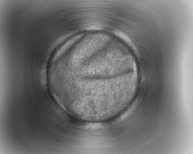 X0000088720978200706212017