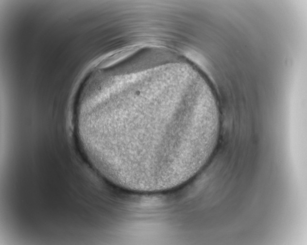 X0000088720979200706212017