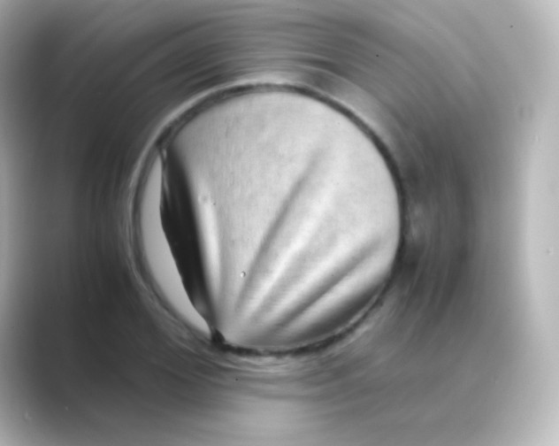 X0000088720980200706212017