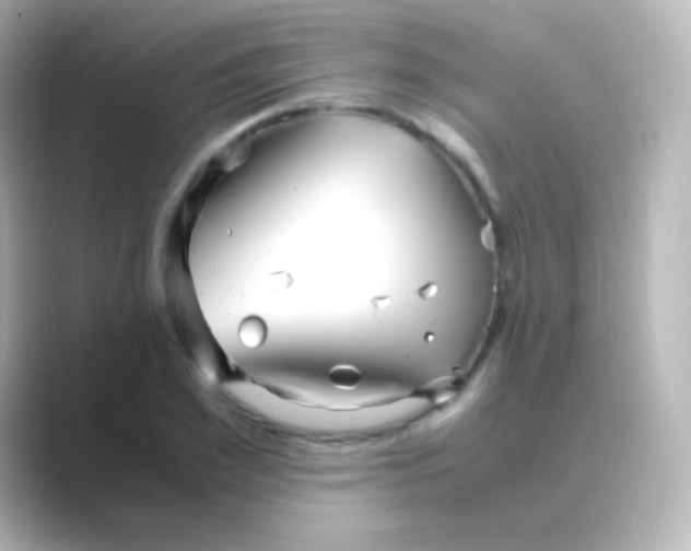 X0000088720981200706212017