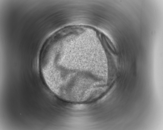 X0000088720982200706212017