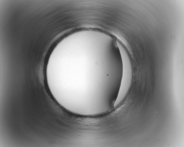 X0000088720984200706212017