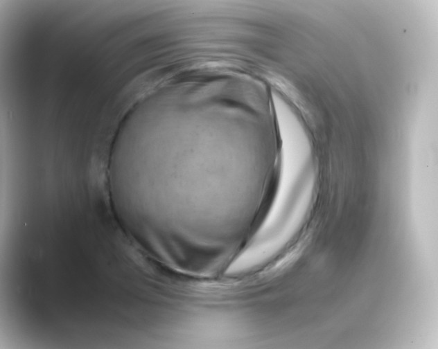 X0000088720985200706212017