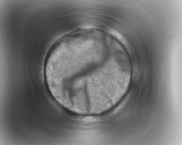 X0000088720986200706212017