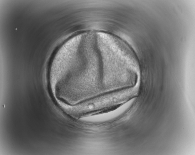 X0000088720987200706212017