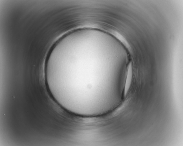 X0000088720988200706212017