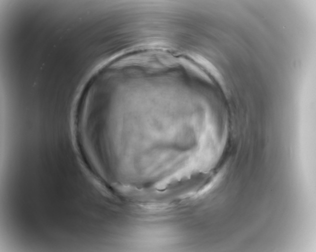 X0000088720989200706212017