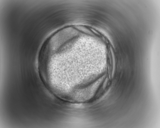 X0000088720990200706212017