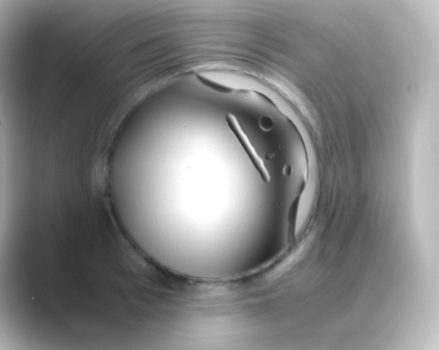 X0000088720993200706212017