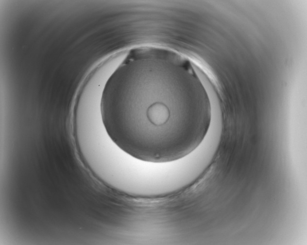 X0000088720996200706212017