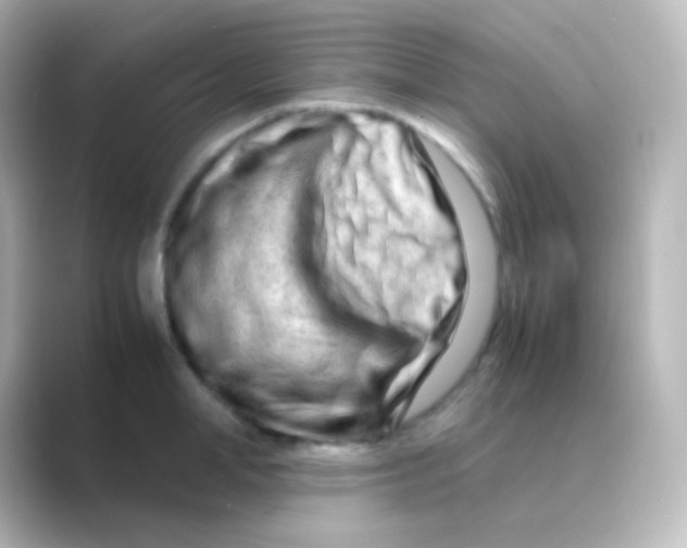 X0000088720998200706212017