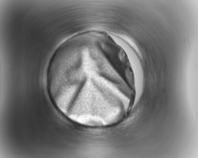 X0000088720999200706212017