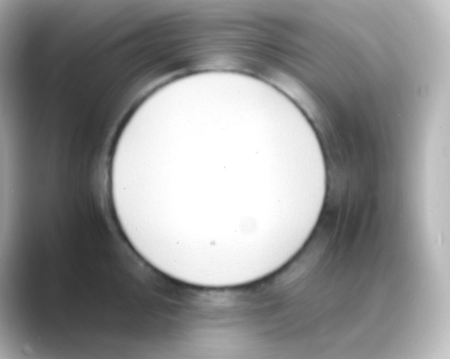 X0000088721000200706212017