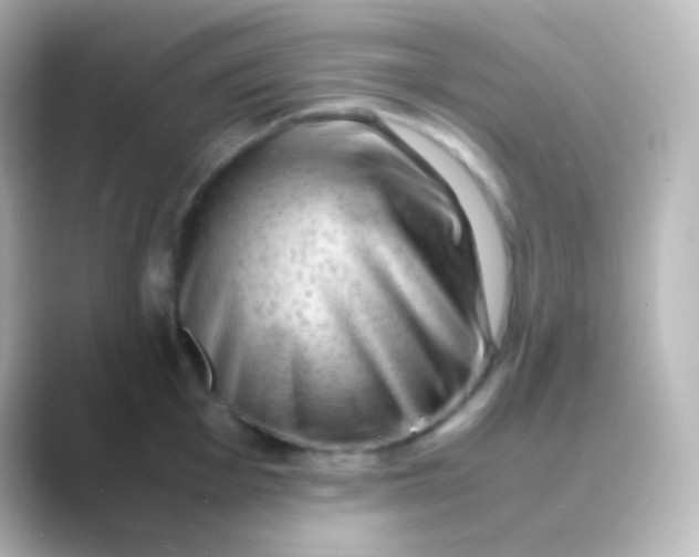 X0000088721001200706212017