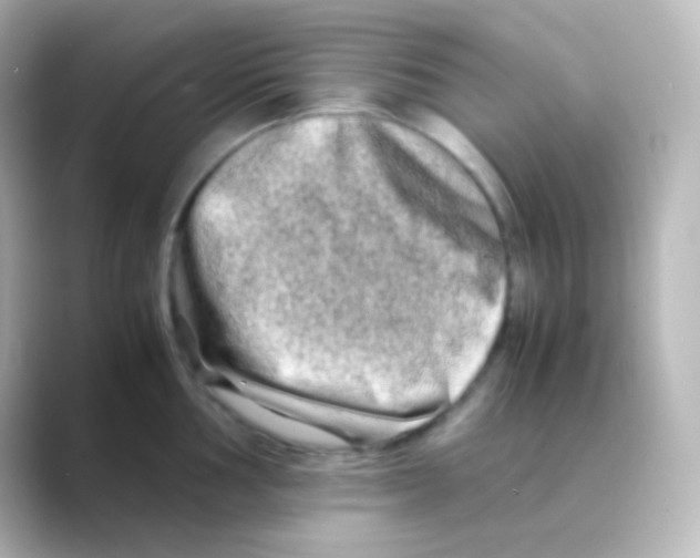 X0000088721002200706212017