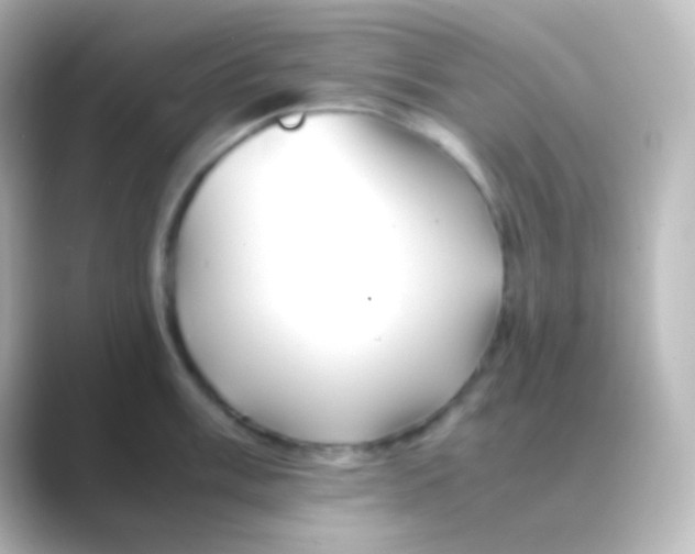 X0000088721003200706212017