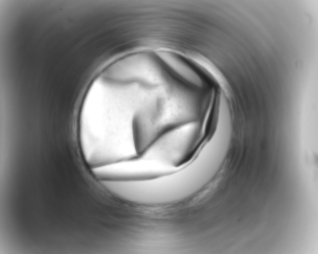 X0000088721004200706212017