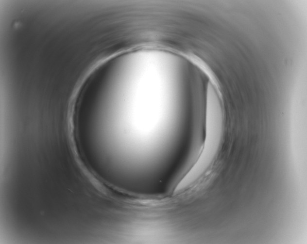 X0000088721005200706212017