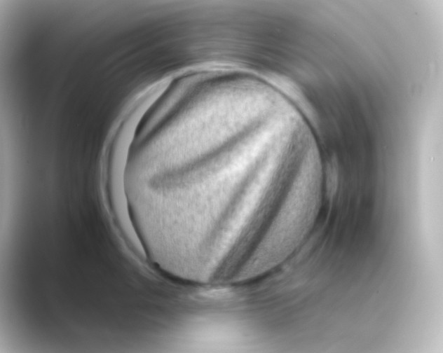 X0000088721006200706212017