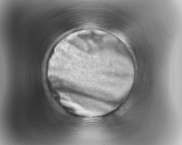 X0000088721008200706212017