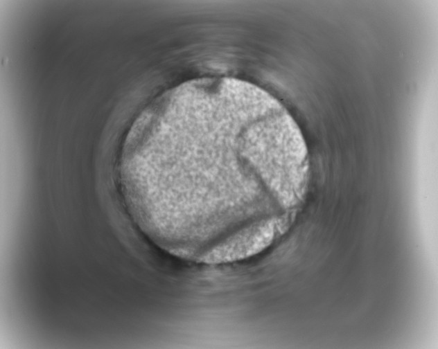 X0000088721009200706212017