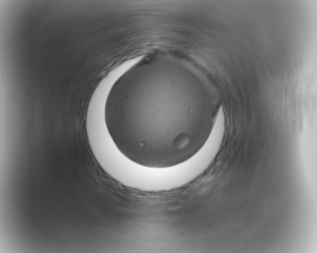 X0000088721010200706212017