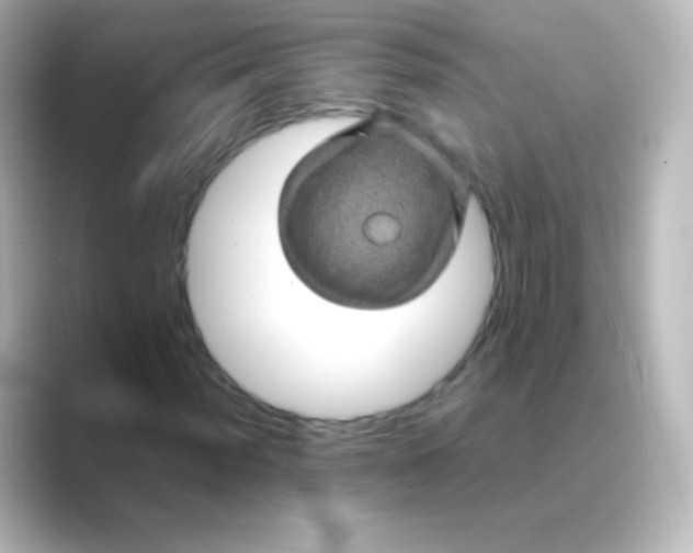 X0000088721012200706212017