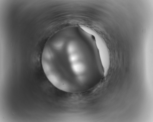 X0000088721013200706212017