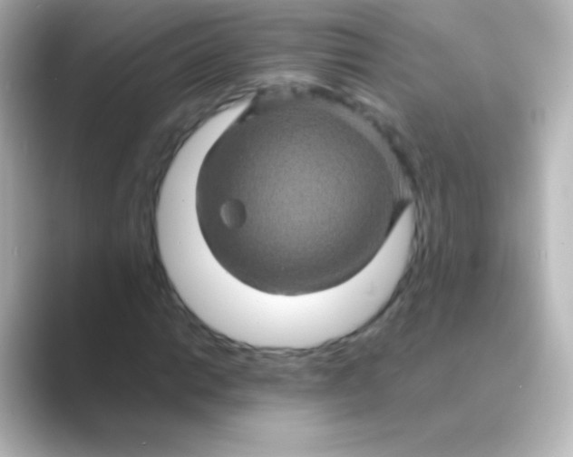 X0000088721014200706212017