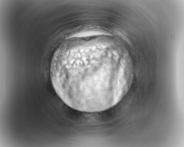 X0000088721015200706212017