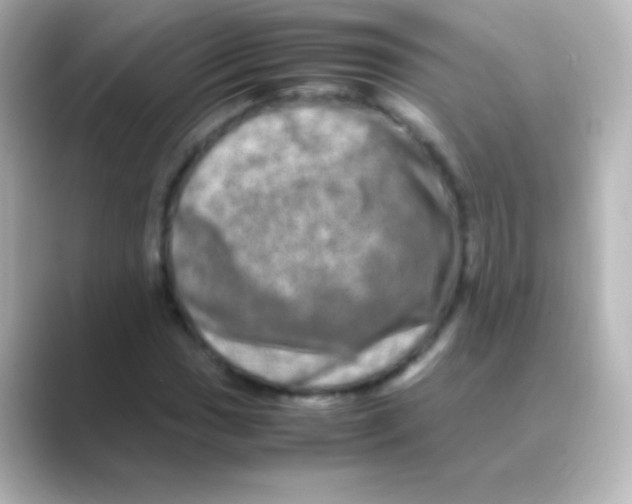 X0000088721017200706212017