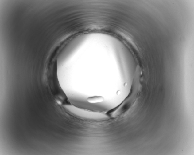 X0000088721018200706212017