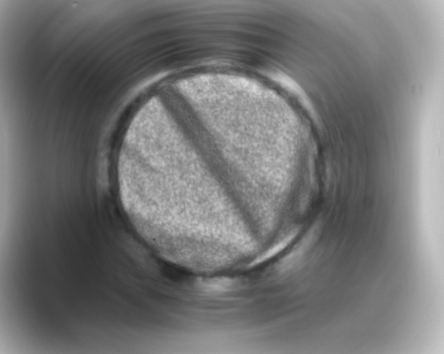 X0000088721019200706212017