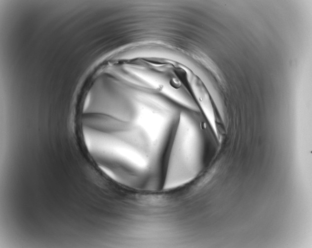 X0000088721020200706212017