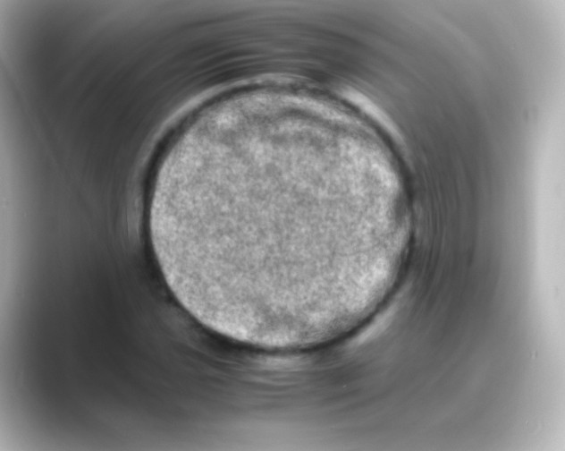 X0000088721021200706212017