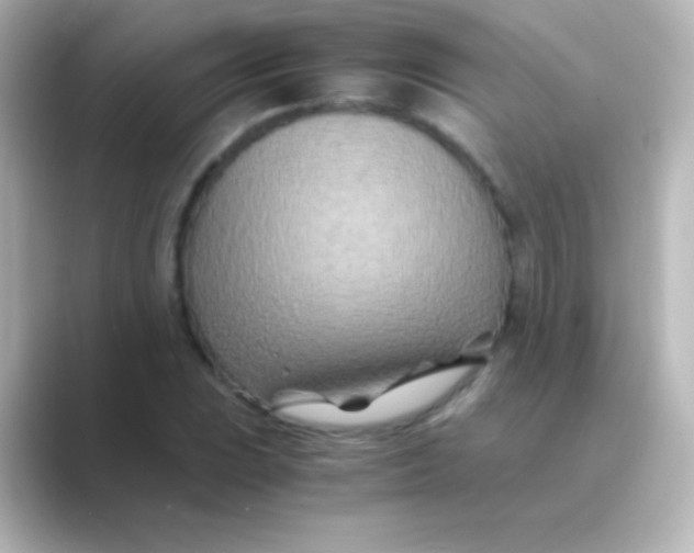 X0000088721023200706212017