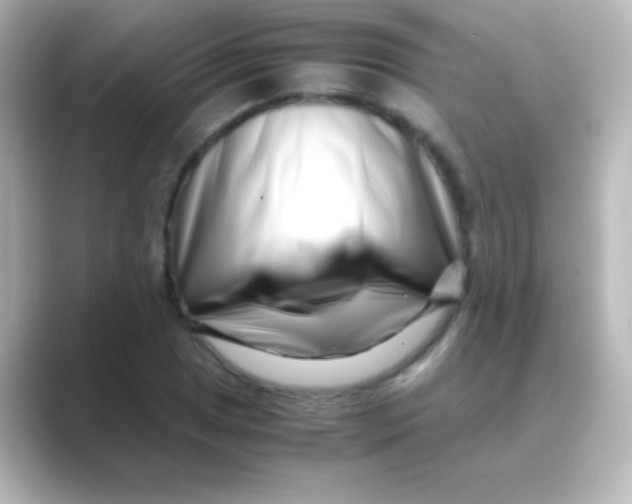 X0000088721025200706212017