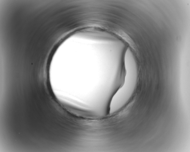 X0000088721028200706212017