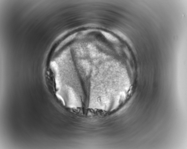 X0000088721029200706212017