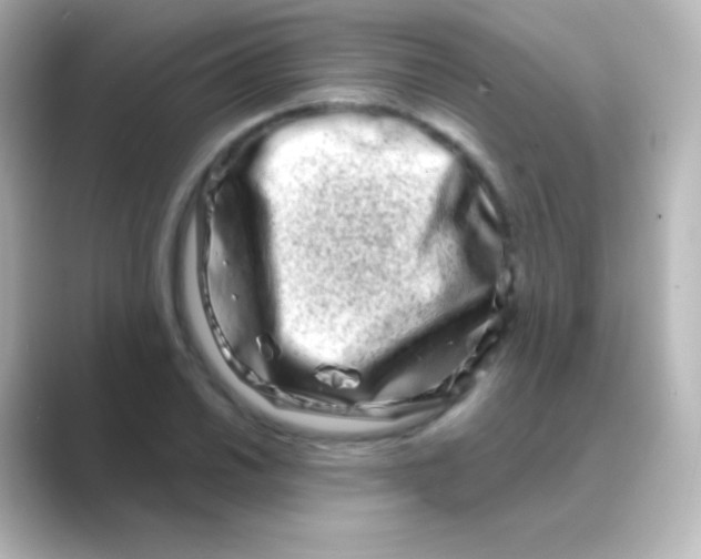 X0000088721030200706212017