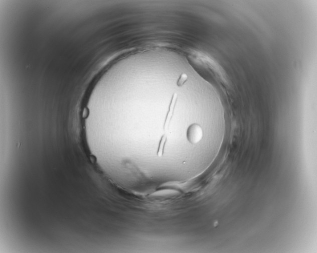 X0000088721031200706212017